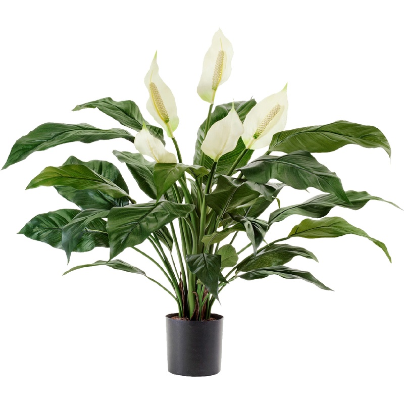 Изображение товара Цветок искусственный Tropic House Спатифиллум 70 см