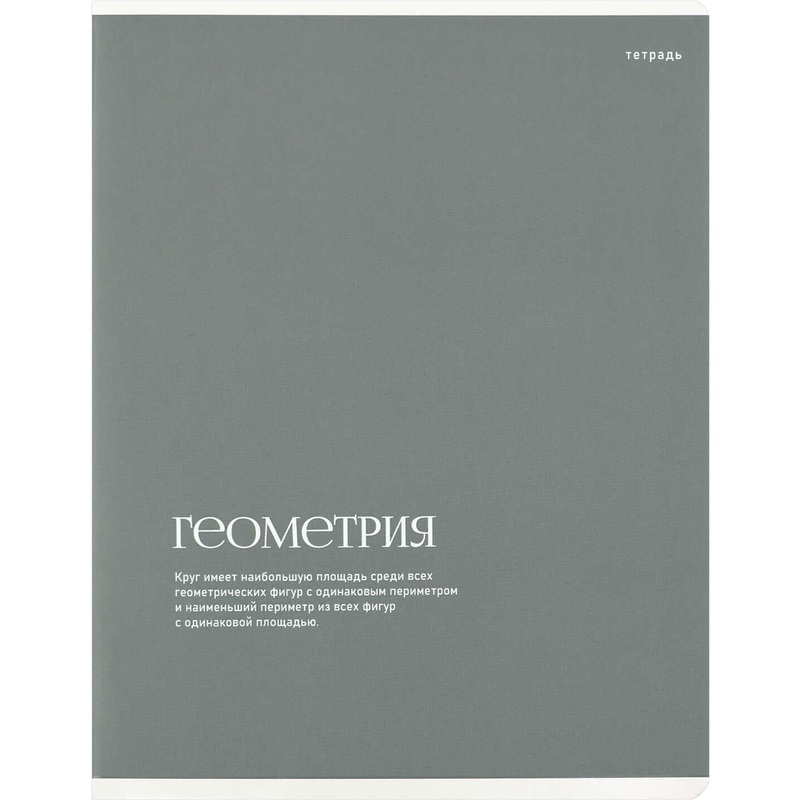Изображение товара Тетрадь предметная по геометрии Феникс+ Интересные факты А5+ 48 листов серая в клетку УФ-выборочный глянцевый лак