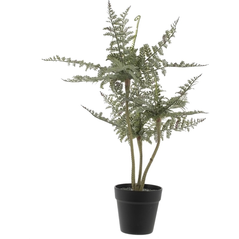 Изображение товара Композиция из искусственных цветов папоротник 66 см в чёрном горшке