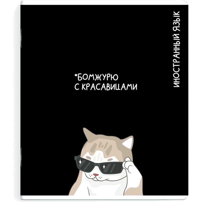Изображение товара Тетрадь предметная по иностранному языку Феникс+ Коты мемы А5+ 48 листов в клетку TWIN лак
