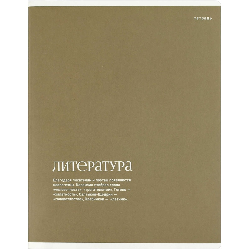 Изображение товара Тетрадь предметная по литературе Феникс+ Интересные факты А5+ 48 листов коричневая в линейку УФ-выборочный глянцевый лак