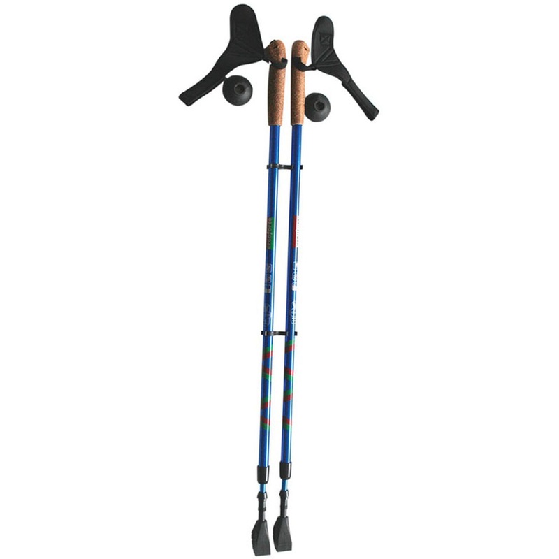 Изображение товара Палки для скандинавской ходьбы Ergo Nordic E-0673 110-140 см синие/серые
