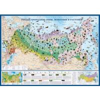 Карта России физическая 1:6 200 000 настенная 143x102 см с ламинацией