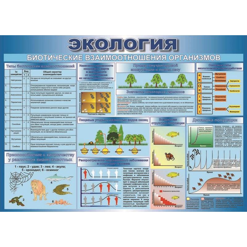 Схема биотических связей