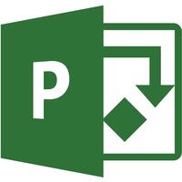 Программное обеспечение Microsoft Project Professional 2019 электронная  лицензия для 1 ПК (Р30-05756)
