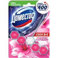 Блок для унитаза гигиенический Доместос Пауер 5 Ледяная магнолия
