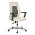 Кресло офисное Easy Chair 225 DSL PTW бежевое/черное (искусственная кожа/сетка/пластик/металл) – выгодная цена – купить товар Кресло офисное Easy Chair 225 DSL PTW бежевое/черное (искусственная кожа/сетка/пластик/металл) в интернет-магазине Комус