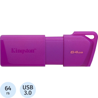 Флешка USB 3.2 64 ГБ Kingston Exodia M (KC-U2L64-7LP)