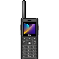 Мобильный телефон BQ 2010 Talkie черный (86206815)