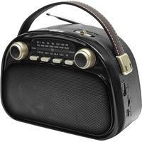Радиоприемник Ritmix RPR-040 черный (80004179)