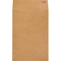 Пакет Extrapack B4 (250x353 мм) из крафт-бумаги 120 г/кв.м стрип до 300  листов (25  штук в упаковке)