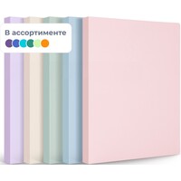 Папка файловая на 40 файлов A4 24 мм (толщина обложки 0,7 мм)