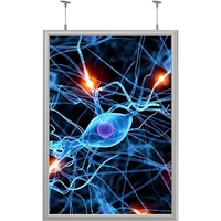 Уценка. Панель световая (лайтбокс) ProMEGA Frame Led (панель А1+, постер   594x841 мм, односторонняя)