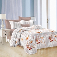 Комплект постельного белья Эльф Satin Collection Торжественность  1.5-спальное микросатин 70x70 см