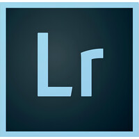 Программное обеспечение Adobe Lightroom w Classic for teams Multiple Platforms Multi European Languages Level 1 электронная лицензия для 1-9 ПК на 12 месяцев (65297848BA01A12)