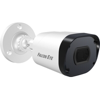 IP-камера Falcon Eye FE-IPC-B2-30p (00-00117016)