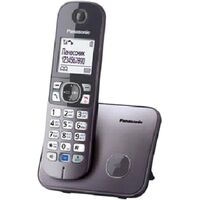 Радиотелефон Dect Panasonic KX-TG6811RUM