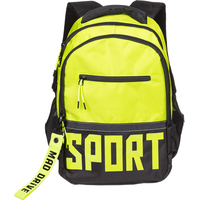 Рюкзак Hatber Basic Style Спорт разноцветный (84104)