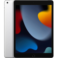 Планшет Apple iPad 10.2 Wi-Fi + Cellular 256 ГБ серебристый (MK4H3ZP/A)