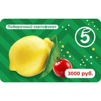 Карта подарочная Пятерочка номиналом 3000 рублей