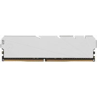 Модуль памяти Netac NTSSD4P32SP-08W DDR4 8 ГБ