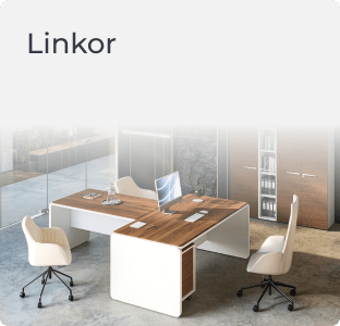 Linkor