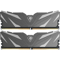 Модуль памяти Netac NTSWD4P32DP-16K DDR4 16 ГБ, 2x8 ГБ