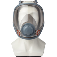 Маска полнолицевая панорамная Jeta Safety 6950 размер L категория 2