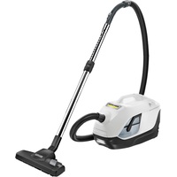 Пылесос Karcher DS 6 Plus белый (1.195-252.0)