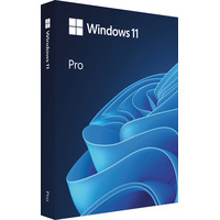 Программное обеспечение Microsoft Windows 11 Professional коробочная  версия для 1 ПК (HAV-00160)