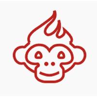 Программное обеспечение FastReport FMX 2 Site электронная лицензия для 1  ПК (FR_FMX2_SITE_ESD)