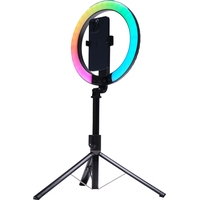 Осветитель Raylab RL-0210