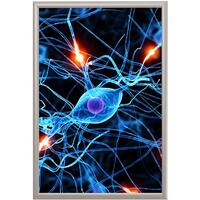 Панель световая (лайтбокс) ProMEGA Frame Led (панель А2+, постер 420x594  мм, односторонняя)