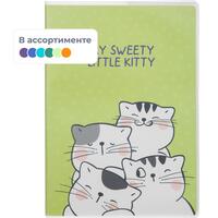 Тетрадь общая M&G So Many Cats B5 64 листа в клетку на склейке