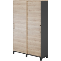 Шкаф-купе для документов Kobor HK/5-120/60/M black/natural дуб  натуральный 1200х600х1900 мм