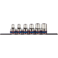 Набор головок TORX King Tony E10-E20 1/2' 6 предметов (4106PR)
